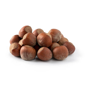 NUTS U.S. Oregon hazelnuts in-shell close-up for fresh snacking