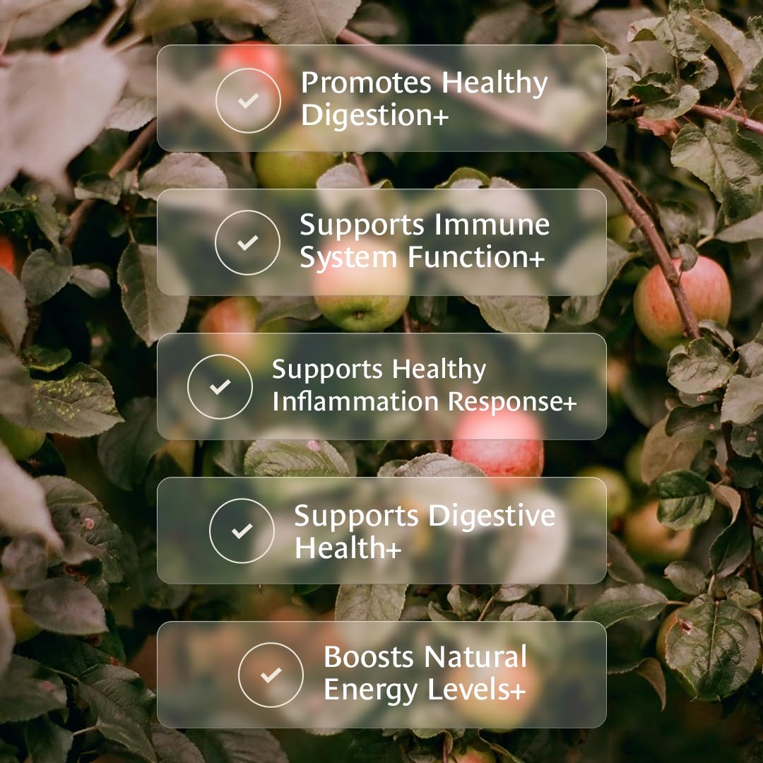 Healing Leaves Tea origin farm scene emphasizes regenerative organic sourcing in the USA.