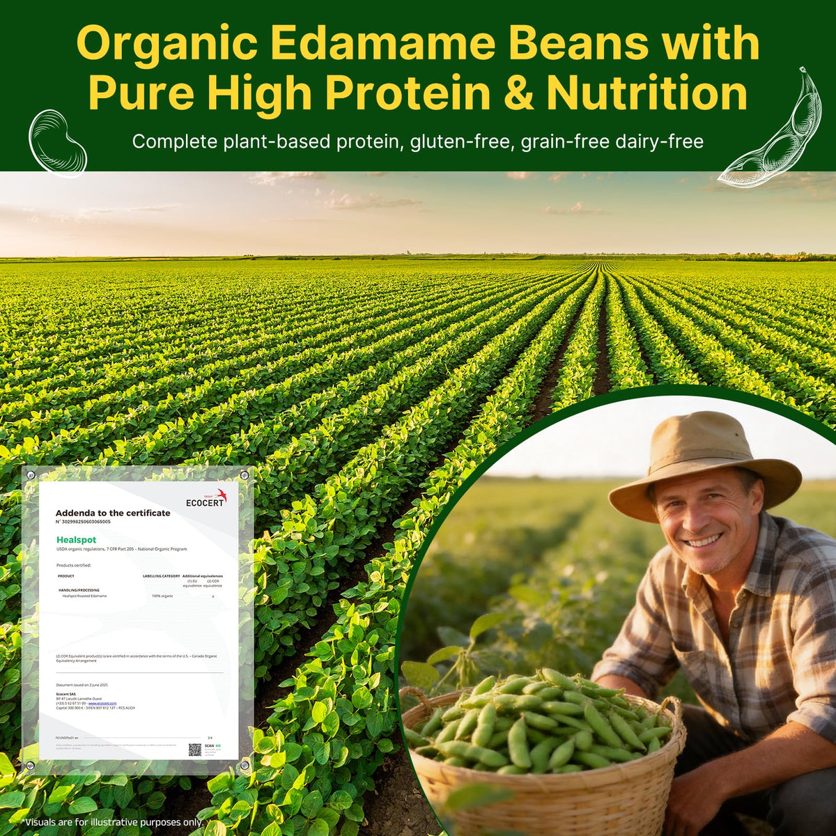 Healspot edamame snack keto-protein in a convenient, high-protein bite