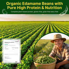 Healspot edamame snack keto-protein in a convenient, high-protein bite