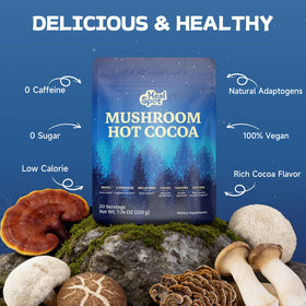 Healspot Mushroom Cocoa Sleep ingredients close-up showing the 7-component blend.
