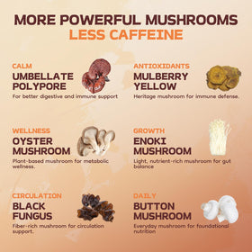 HealSpot Mushroom Coffee 13-mushrooms label emphasizing adaptogens.