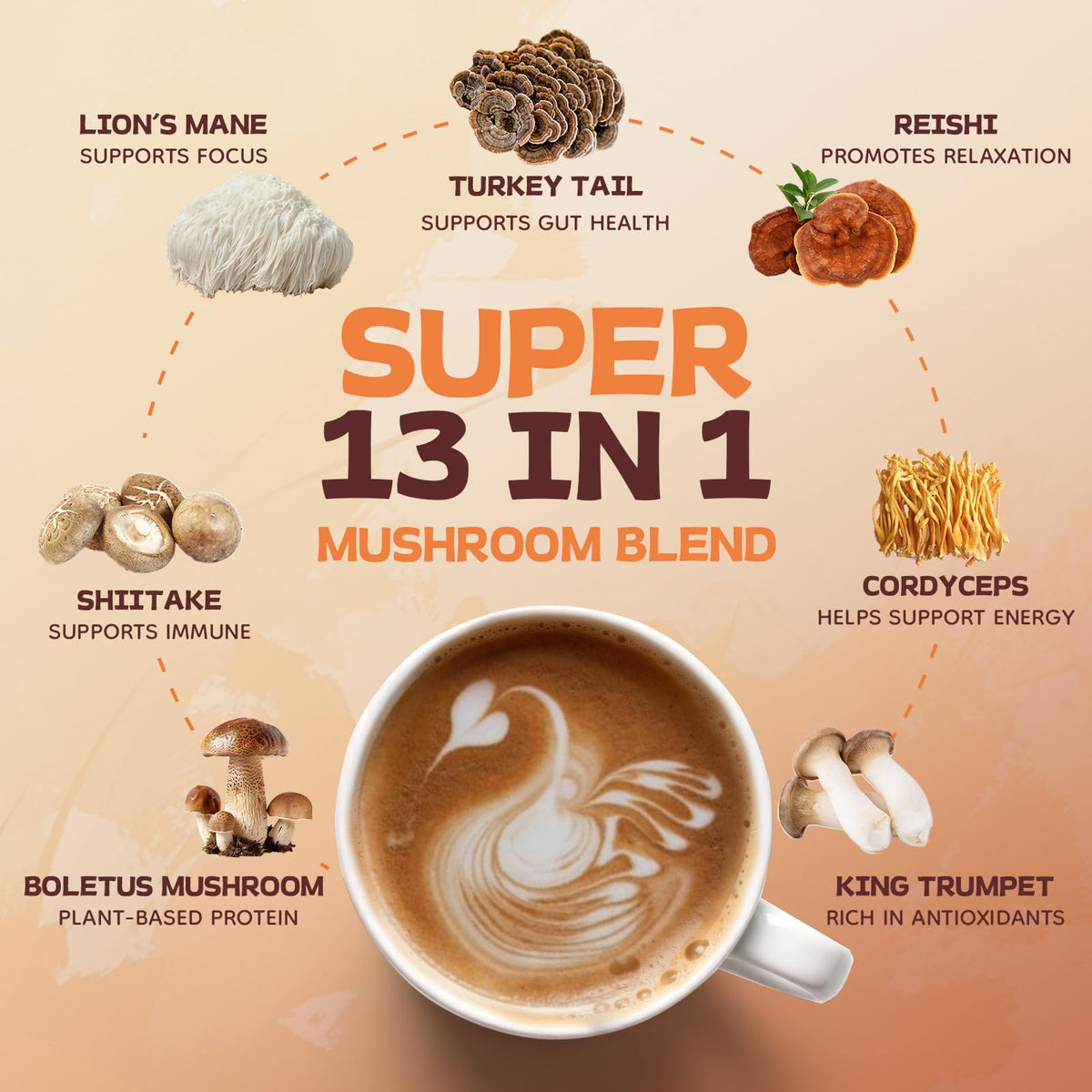 HealSpot Mushroom Coffee MCT oil mix highlighting energy support and smooth texture.