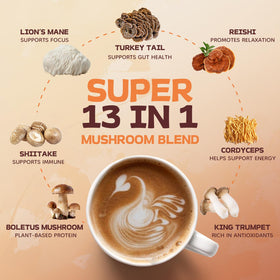 HealSpot Mushroom Coffee MCT oil mix highlighting energy support and smooth texture.