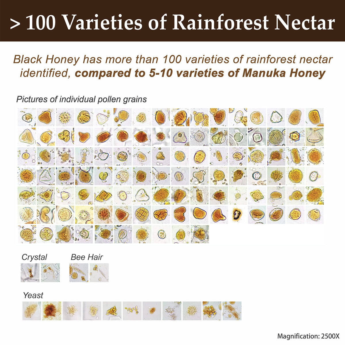 Health Harvest Tualang Honey GOLD grade label signals premium use.