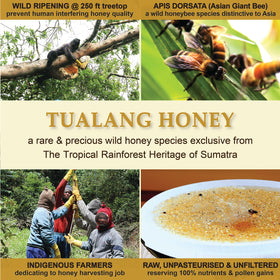 Health Harvest Tualang honey label detail, transparent sourcing enhances trust and quality