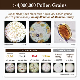 Health Harvest Tualang Honey pollen-rich profile supports bold flavor notes.