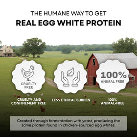 Healthier Comforts egg white powder pancake batter yields fluffy morning breakfast.