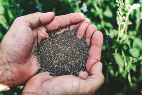 Heartland Chia smoothie thickener adds body and fiber to drinks.