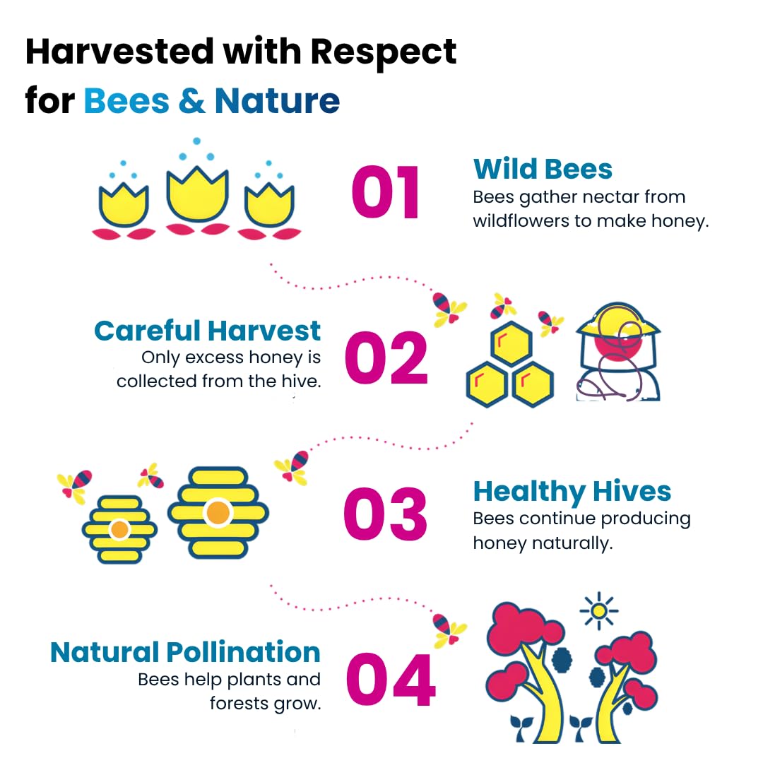 Sourcing from wild forest beehives, highlighting sustainable beekeeping practices