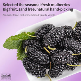 Hee Creek Top Grade dried mulberries in a resealable jar, perfect for pantry storage.