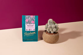Cup of Bedrock Blend showing rich aroma and stone-fruit finish.