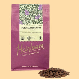 Pacayal Honey Lot roasted beans for a French press brew