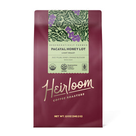 Pacayal Honey Lot pour over setup highlighting citrus blossom notes