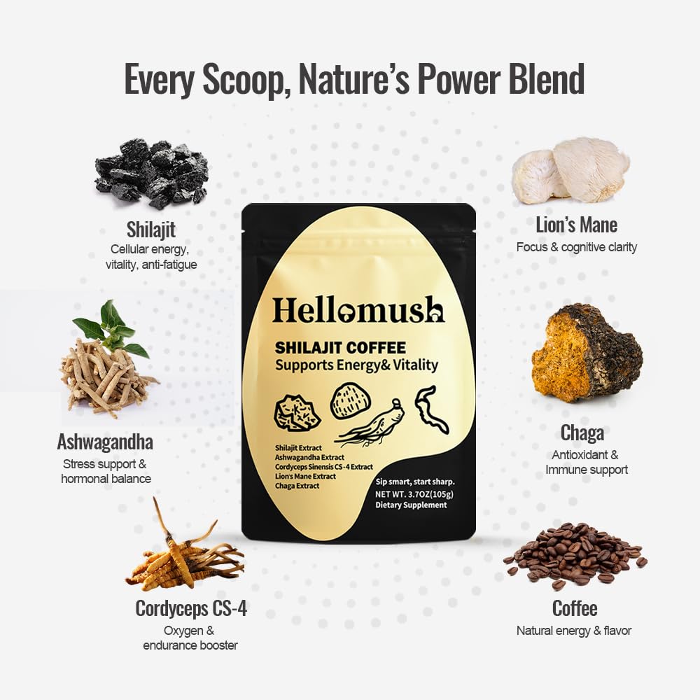 Cordyceps, Lion's Mane, Chaga, and Ashwagandha visuals signal cognitive and stamina support.