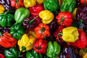 HEPP’S Salt Co. sprinkle on food to elevate flavor with citrusy, fruity heat.