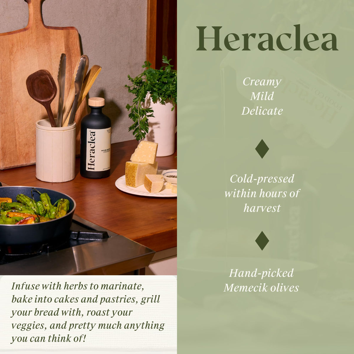Heraclea Mature Harvest EVOO olive branch close-up, polyphenol-rich oil.