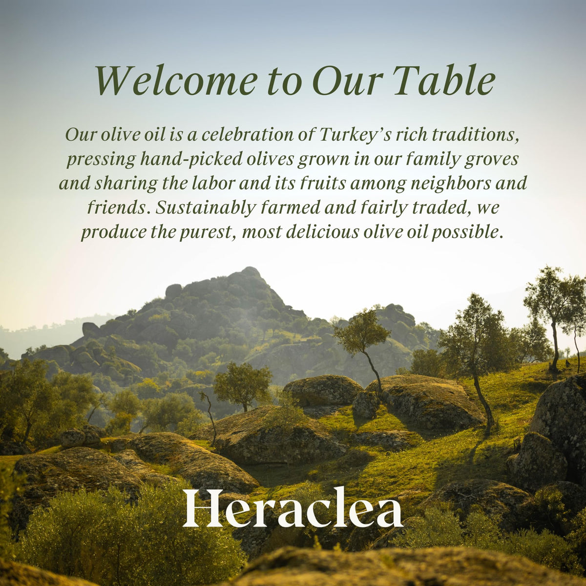 Heraclea organic family farm in Turkey