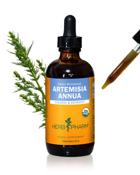 Herb Pharm Artemisia Annua bottle front highlights organic liquid extract for daily wellness.