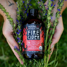 Herbal Revolution Fire Cider organic apple cider vinegar with Mother.