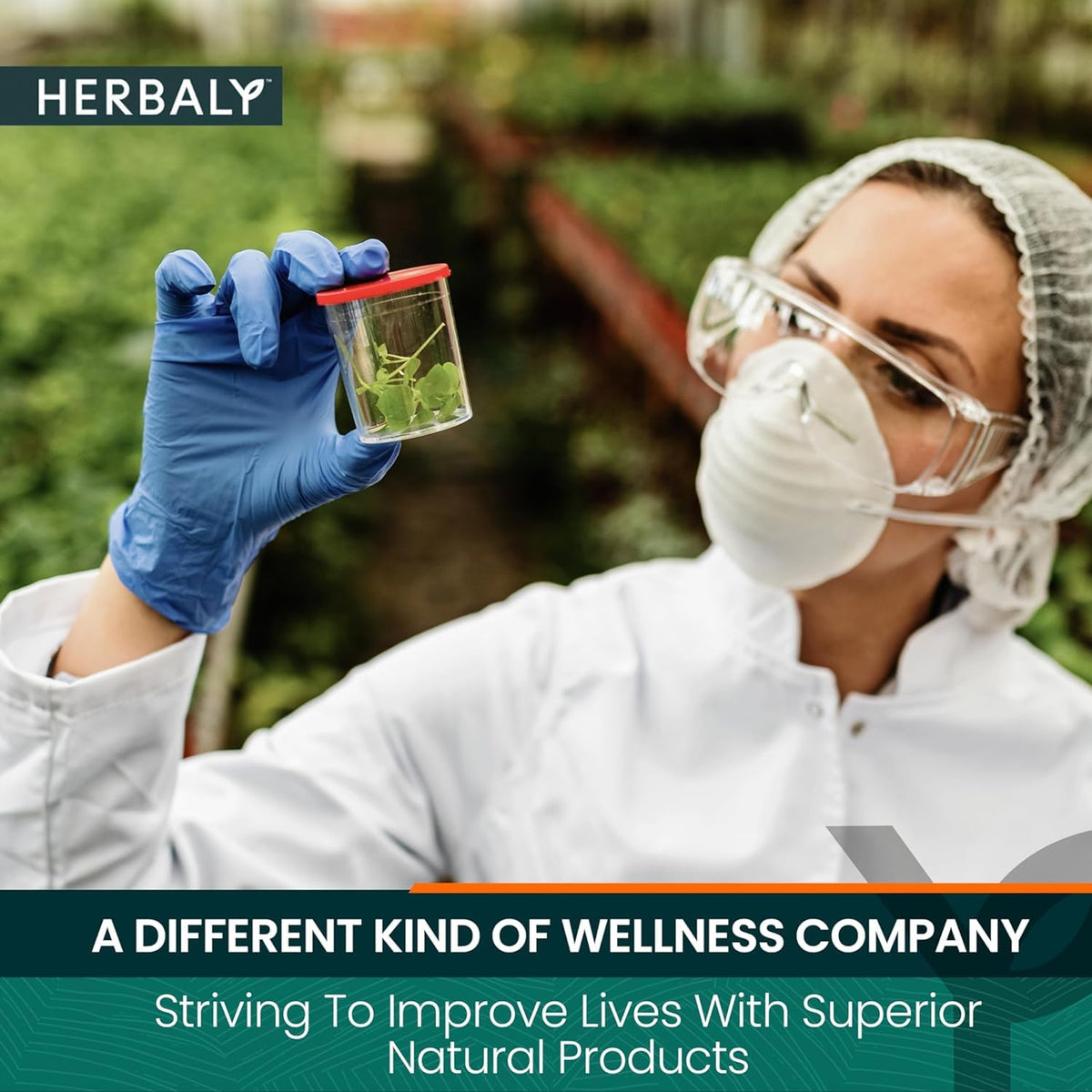 Herbaly Glucose Functional Tea dried leaves close-up, highlighting antioxidant-rich blend.