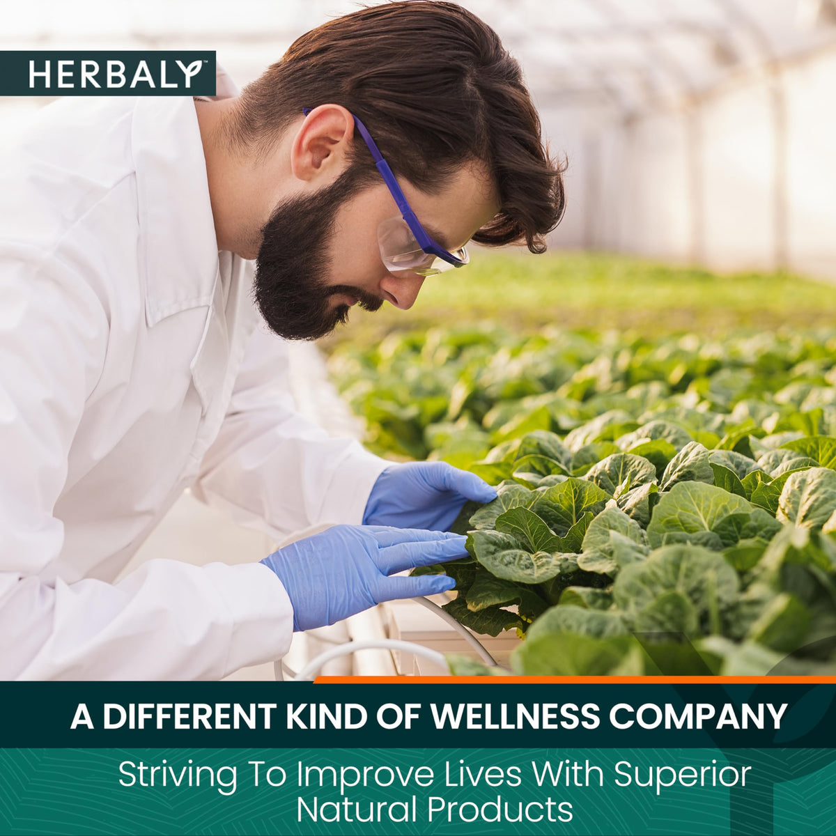 Herbaly Heart caffeine-free option offers a sugar-free treat suitable for evening rituals