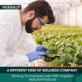 Herbaly Heart caffeine-free option offers a sugar-free treat suitable for evening rituals