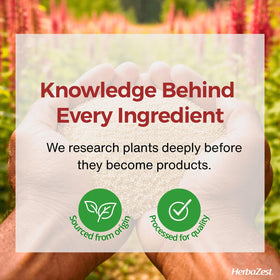 HerbaZest Amaranth Pop origin in the Andes highlighted on packaging.