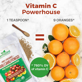 HerbaZest Camu Camu powder pouch ready for everyday smoothies.