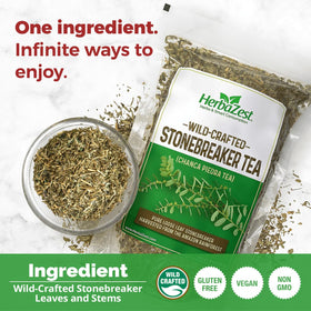 HerbaZest Chanca Piedra Tea dry leaves close-up emphasizing natural origin and purity.