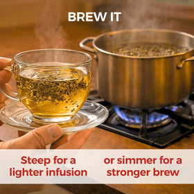 HerbaZest Chanca Piedra Tea hot or cold service for a flexible daily ritual.