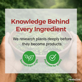 HerbaZest Chanca Piedra Tea single-ingredient leaves for clean herbal infusions.