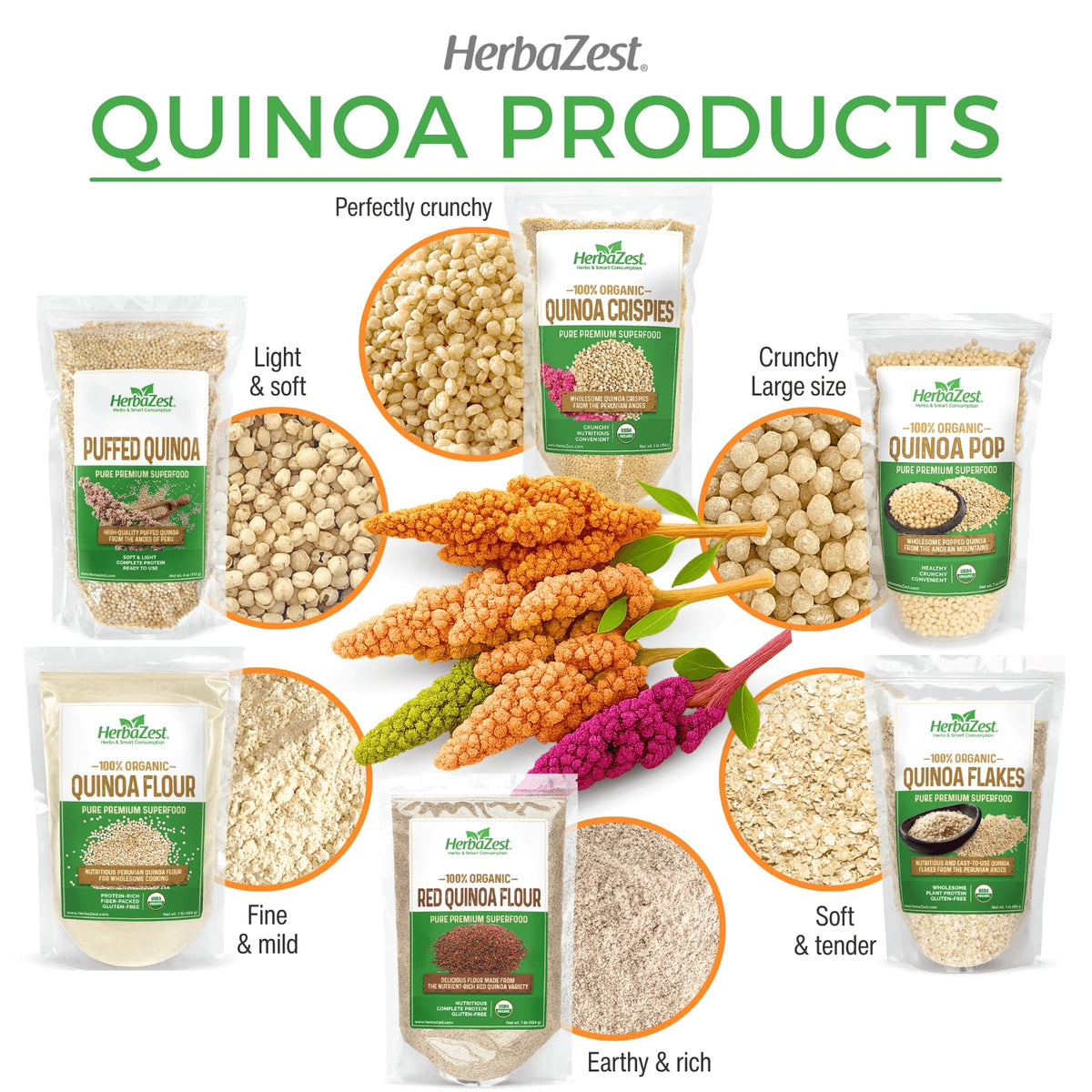 HerbaZest Quinoa Crispies serve with yogurt or fruit salads.