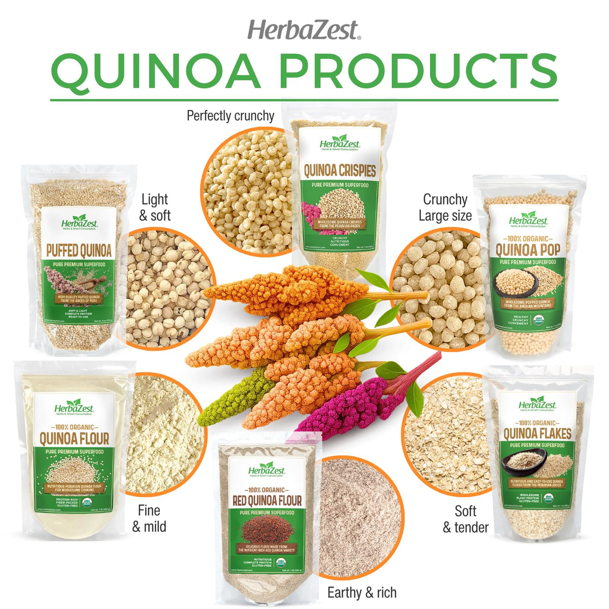 HerbaZest quinoa flakes origin from Peruvian farms for transparent sourcing