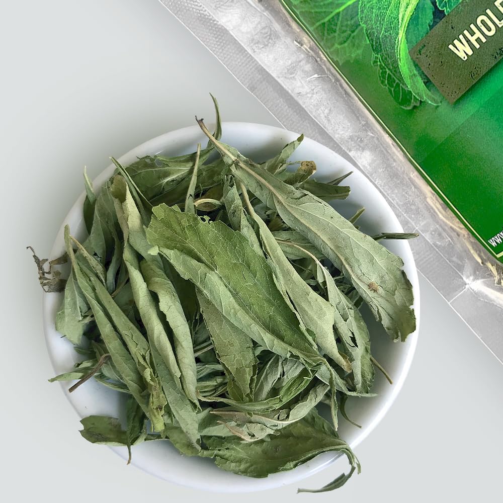 HerbaZest stevia leaves close-up showing rich texture and purity.