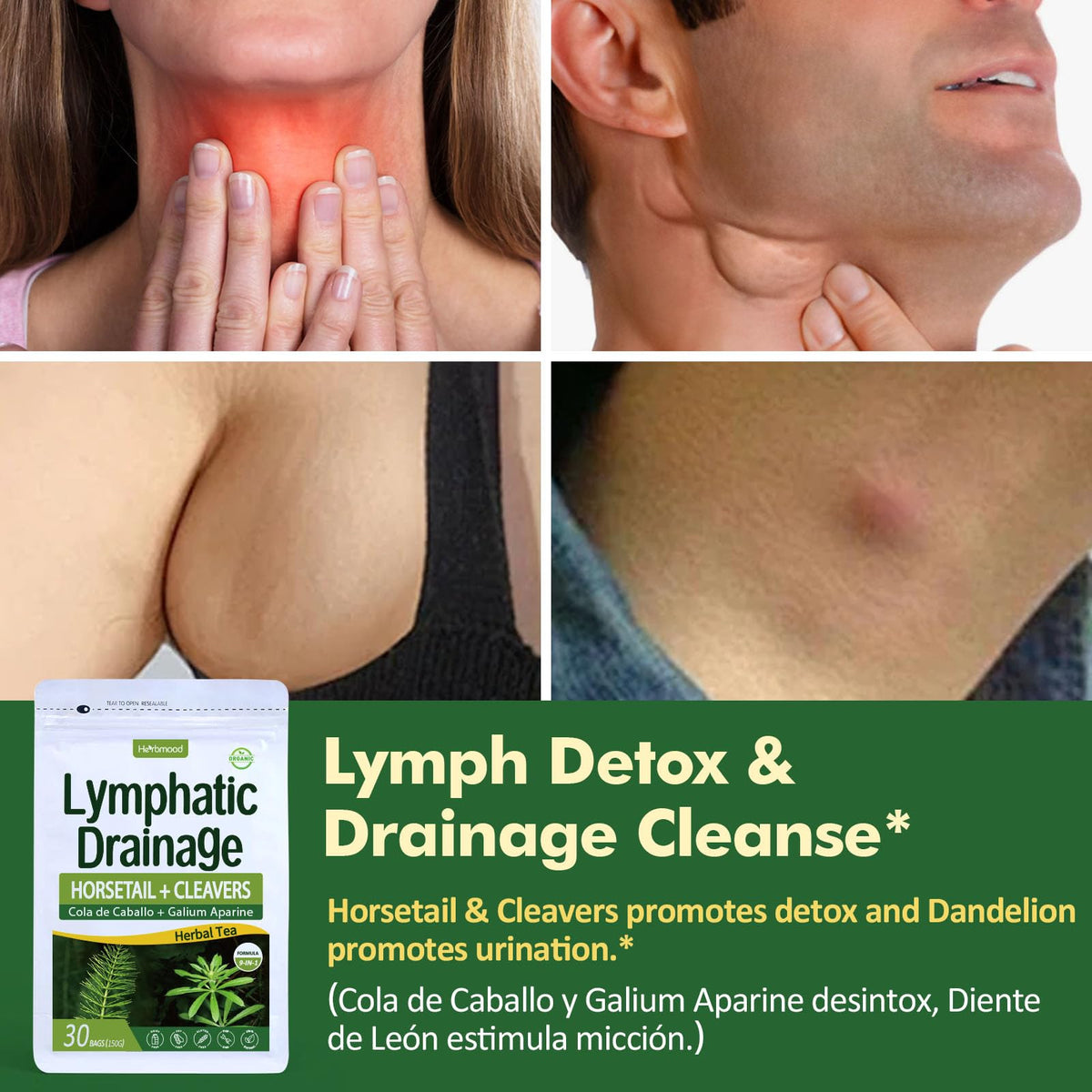 Herbmood Cleavers tea bags in cup highlighting easy daily detox ritual.