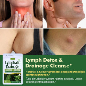 Herbmood Cleavers tea bags in cup highlighting easy daily detox ritual.