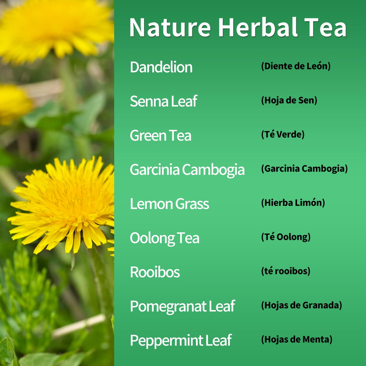 Herbmood horsetail herbs displayed for a crisp herbal blend to complement digestion.