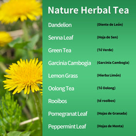 Herbmood horsetail herbs displayed for a crisp herbal blend to complement digestion.