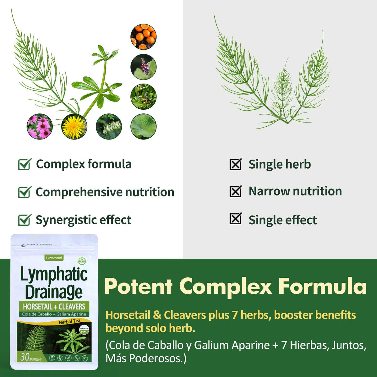 Herbmood immune-supporting herbal ingredients highlight natural resilience and balance.
