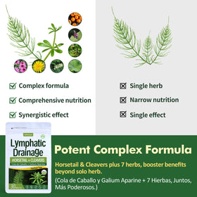 Herbmood immune-supporting herbal ingredients highlight natural resilience and balance.