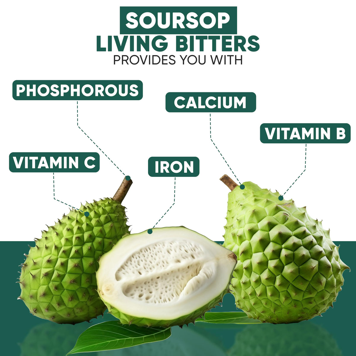 Close-up of natural ingredients in HERBOGANIC Soursop Bitters