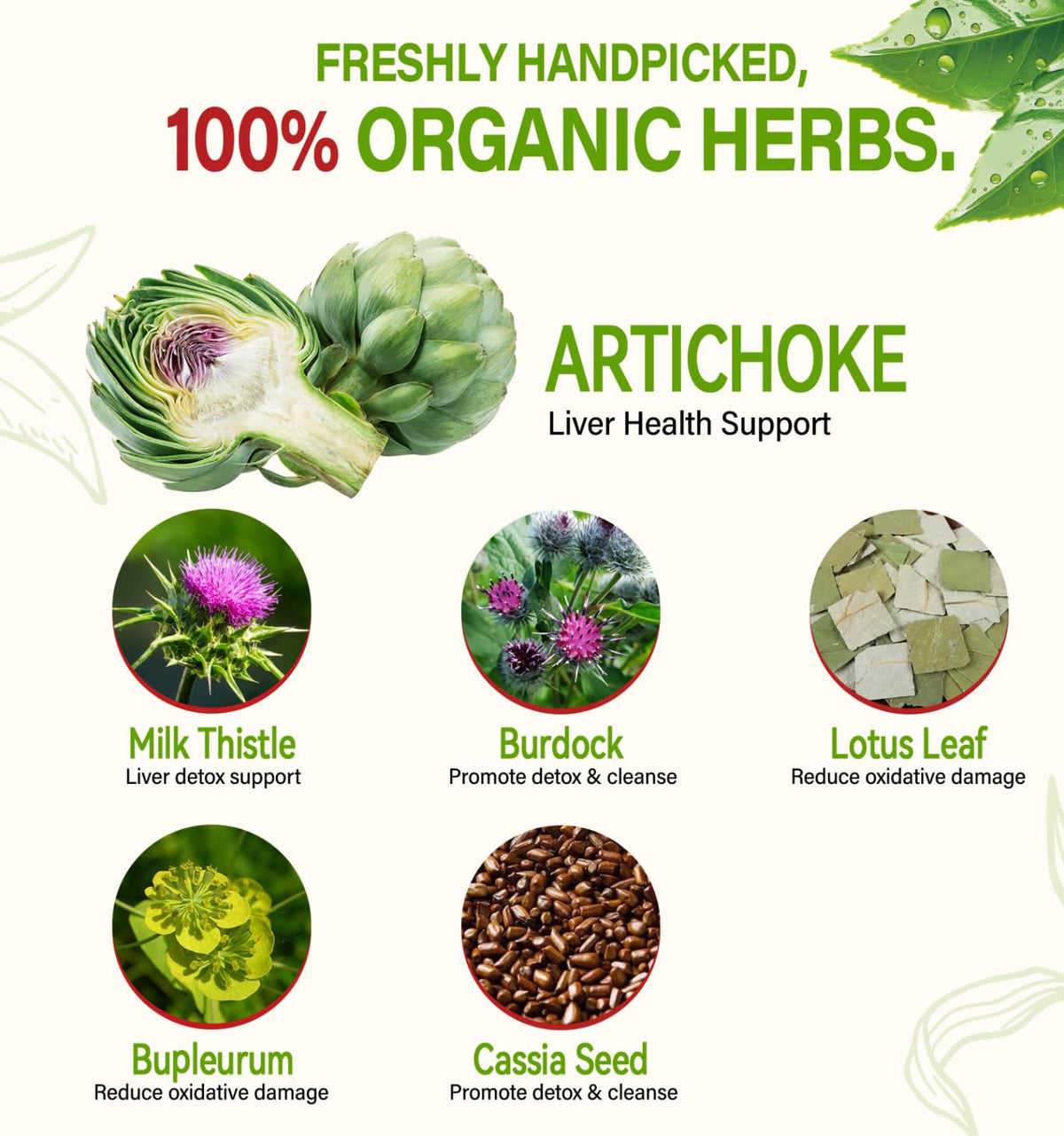 HerbOLITHIC Artichoke Tea cup brew captures aromatic, full-bodied flavor for mindful sipping.