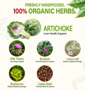 HerbOLITHIC Artichoke Tea cup brew captures aromatic, full-bodied flavor for mindful sipping.