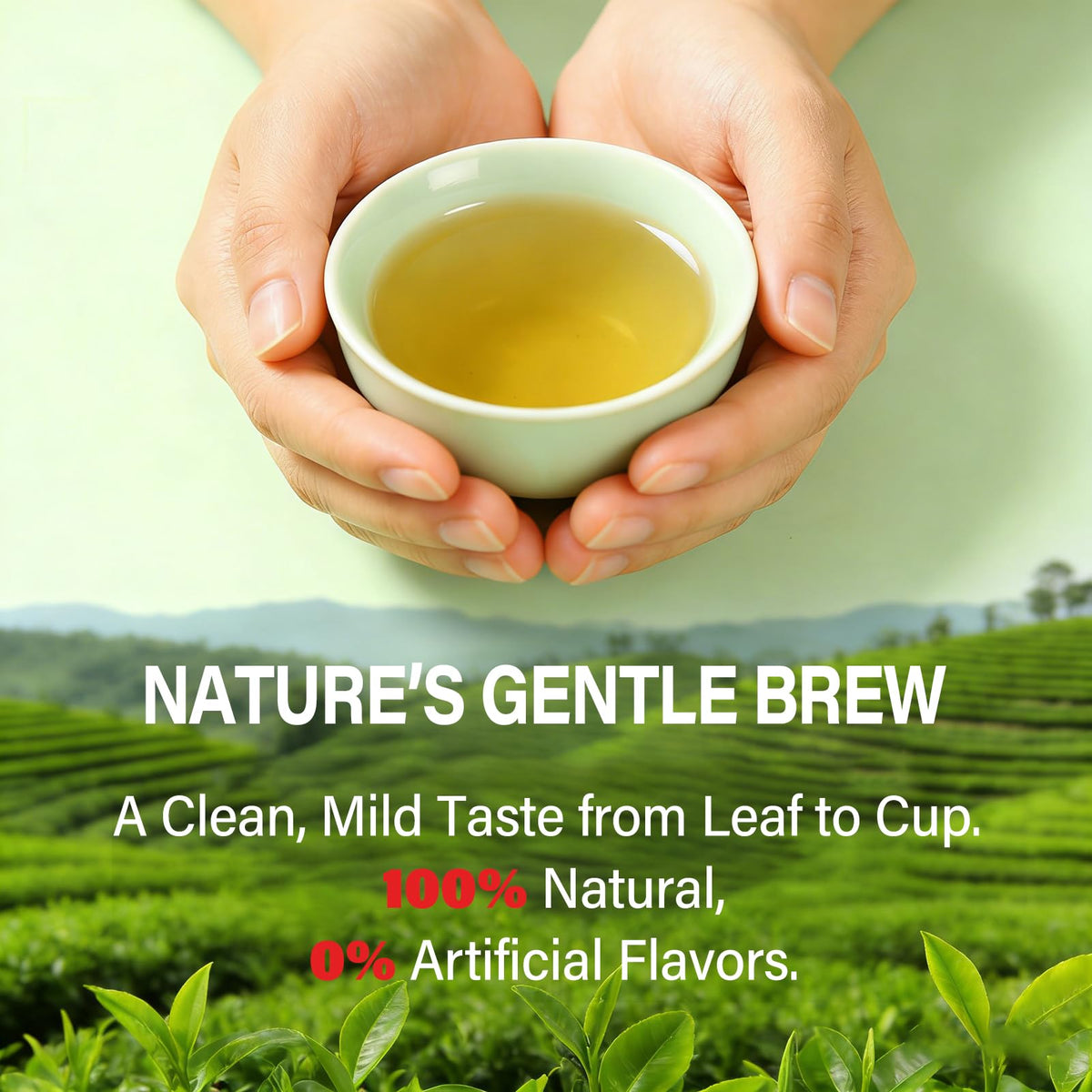 HerbOLITHIC bupleurum-echinacea-tea infusion with balanced notes and smooth finish.