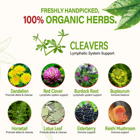 HerbOLITHIC Cleavers Tea brew close-up reveals finely ground herbs