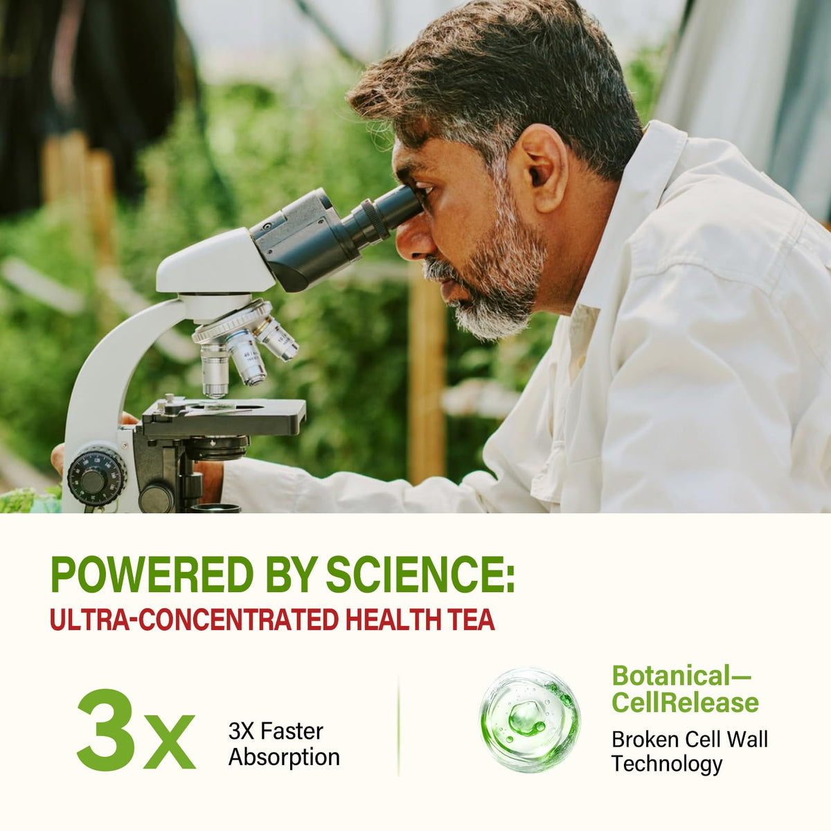 HerbOLITHIC Cleavers Tea lotus leaf image suggests balanced metabolism support