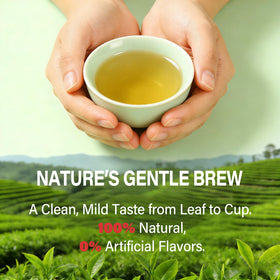 HerbOLITHIC lemon balm leaves add gentle uplifting note.