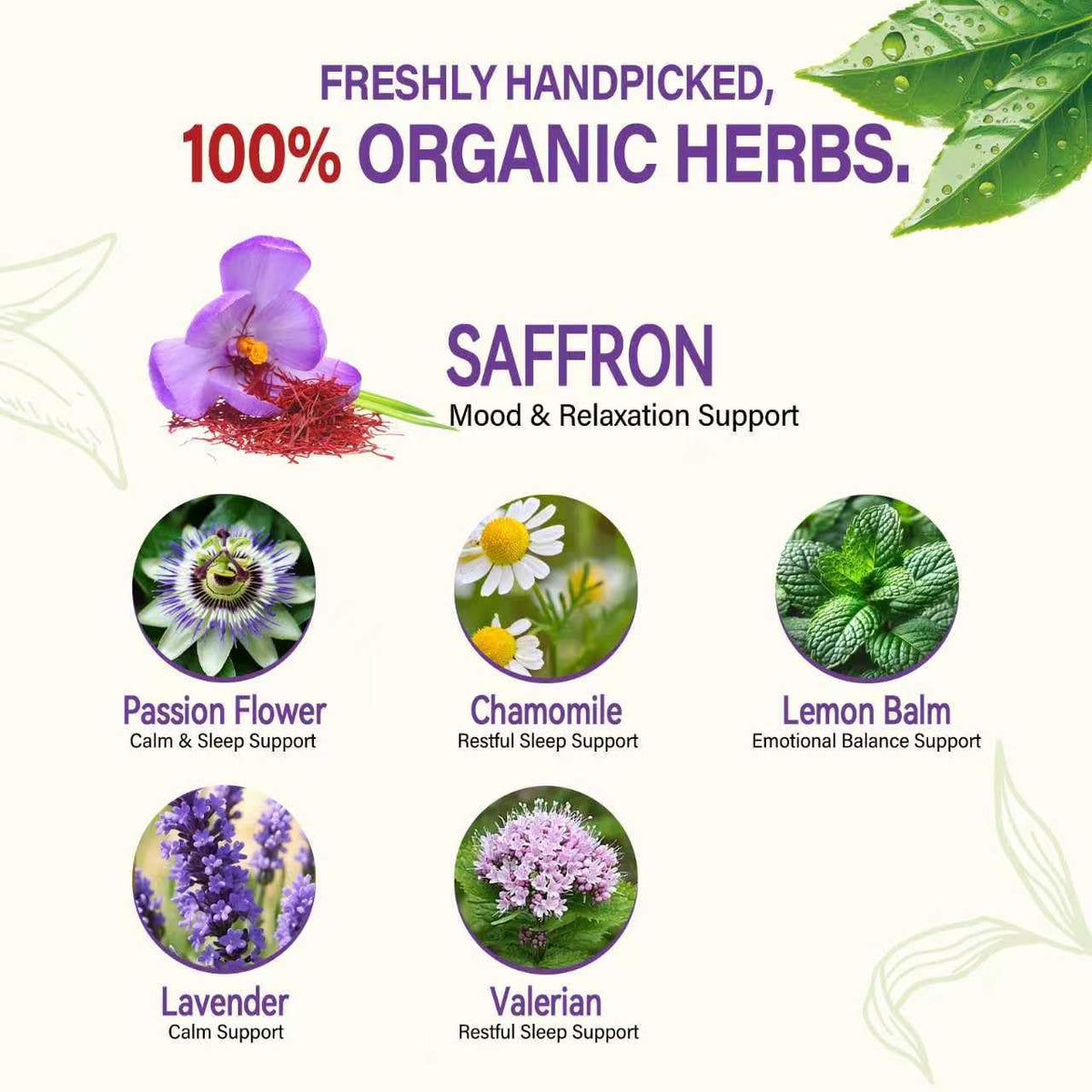 HerbOLITHIC saffron tea bag open pack ready for daily ritual.