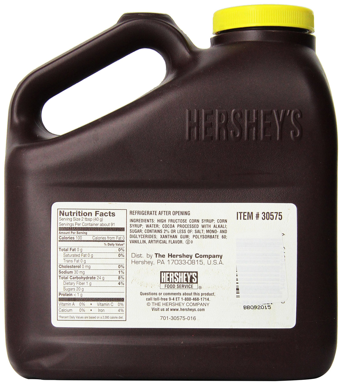 Hershey's Special Dark Syrup topping ice cream for a bold chocolate flavor.